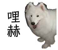 858256209