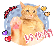 858256745