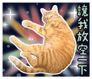 858256748