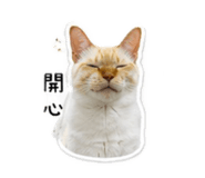 858258037