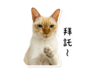 858258047