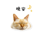 858258056