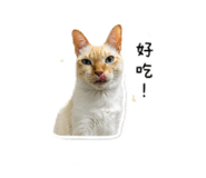 858258062