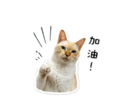 858258066
