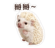 858258146