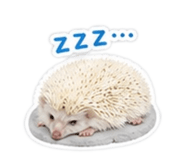 858258159
