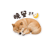 858266394