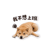 858266395
