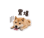 858266396