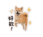 858266397