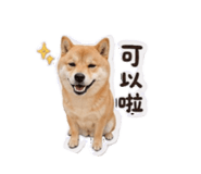 858266399