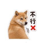 858266400