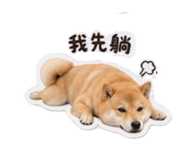 858266401
