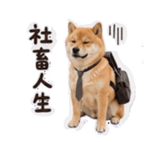 858266402