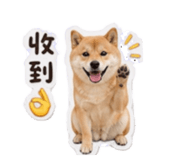 858266405