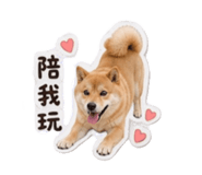 858266408