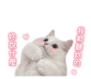 858267864