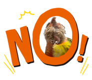 858268594