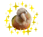 858268604