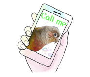 858268607