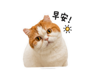 858270817