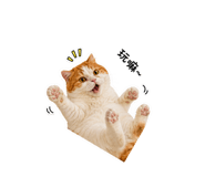 858270840