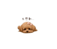 858271814