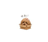 858271815