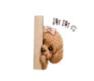 858271816