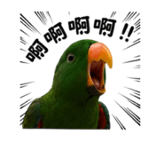 858272050