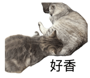 858272190
