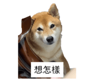858272736