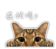 858272979
