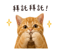 858274426