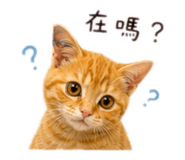 858274438