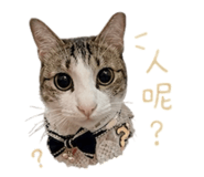 858274681