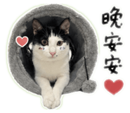 858275750