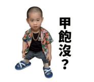 858276196