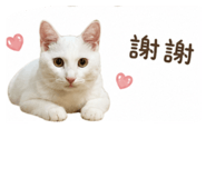 858278270