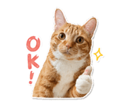 858278410