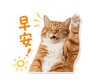 858278422