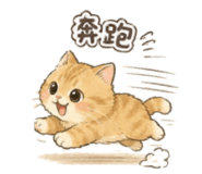858278472