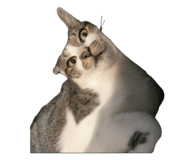 858280537