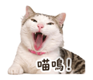 858280673