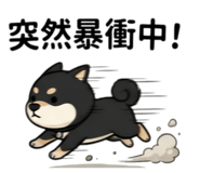 858281549