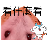 858281604