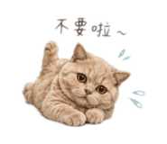 858283080