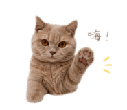 858283085