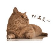 858283098