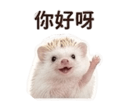 858283481